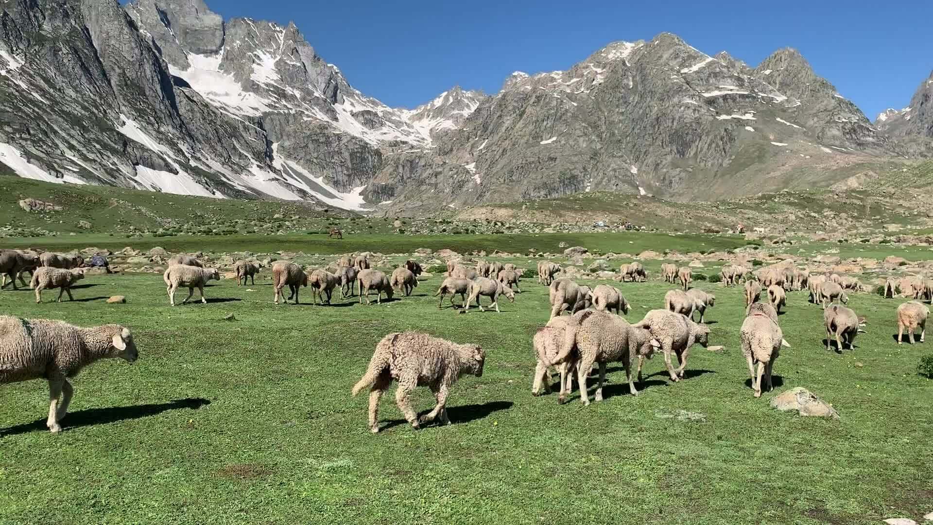 Kashmir 6N/7D Package - Complete Kashmir Explorer - Image 3