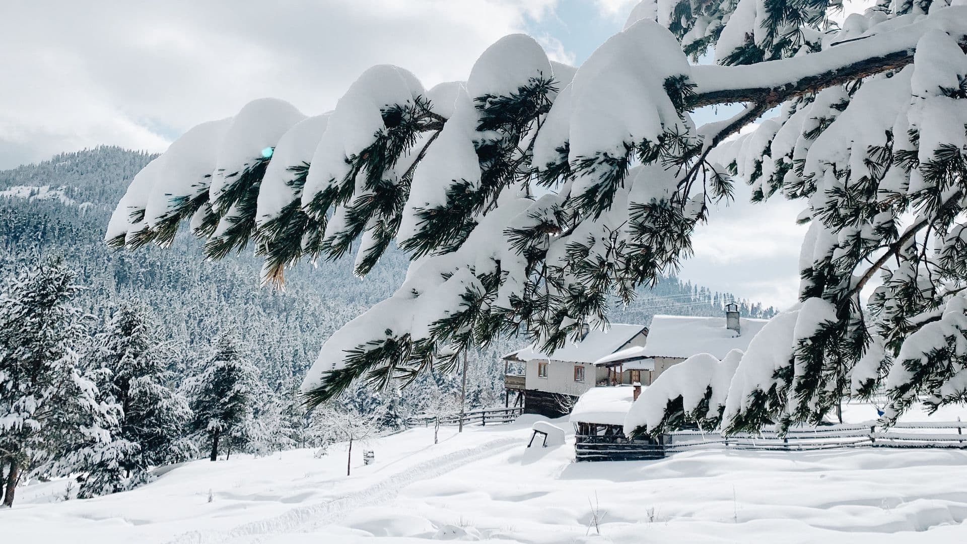 Kashmir Paradise with Houseboat Stay (4N/5D) - Image 1